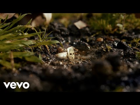 MezzoSangue - Viscerale (Official Visual Video)