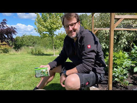 How and why we use Nemaslug to control slugs in our garden