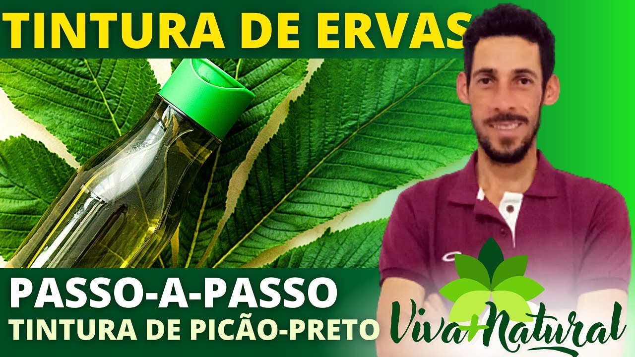 Como fazer extrato ou tintura de Picão-preto (Bidens pilosa) - parte 1 extrato de ervas medicinais