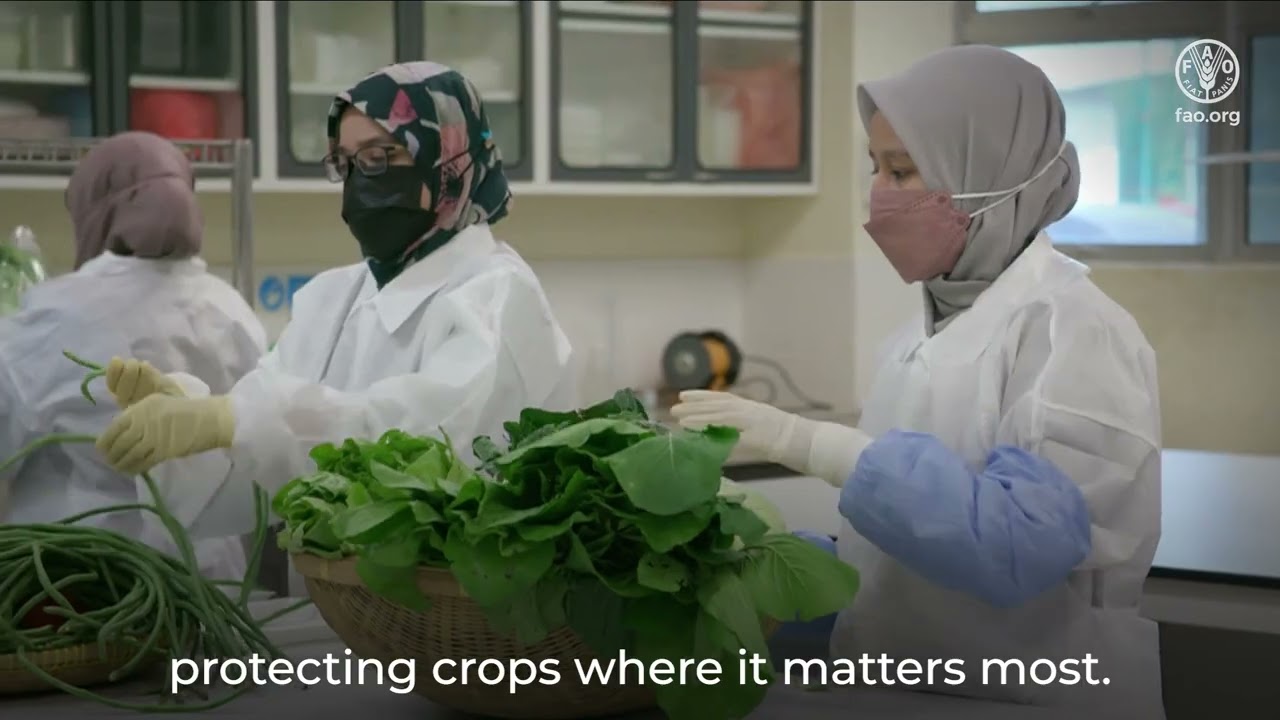 Plant health and biosecurity