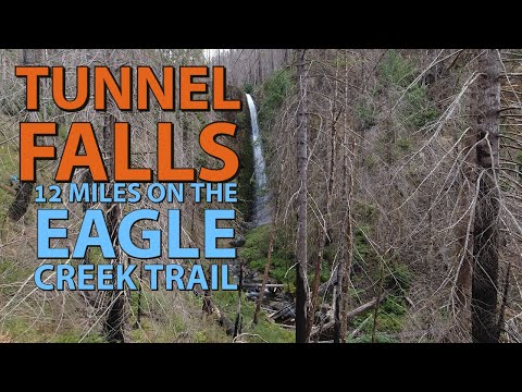 Tunnel Falls | 12 mile hike on Eagle Creek