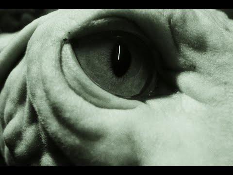 Video thumbnail for TIHANY