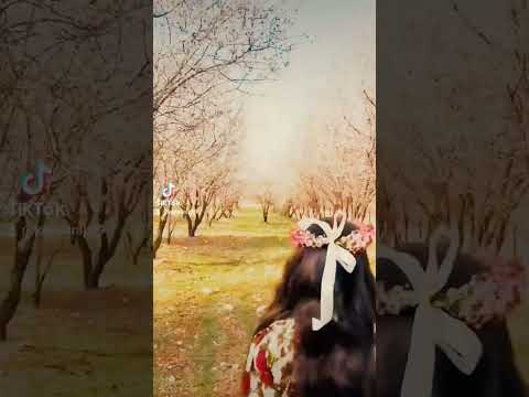 البنت الكردية ️ ️ حالات واتساب قصيرة ️