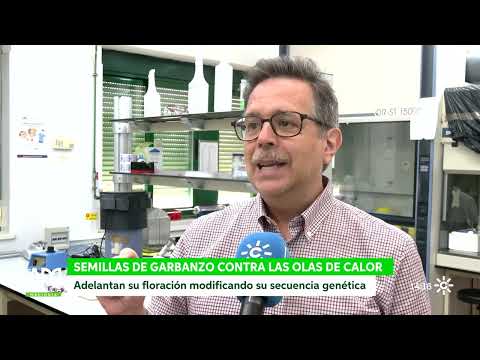 Canal Sur TV interview — video thumbnail