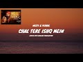 Chal Tere Ishq Mein Song Lyrics English Translation Vishal M Neeti M Mithoon Gadar 2