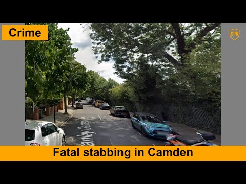 2023-01-29: Fatal stabbing in Camden