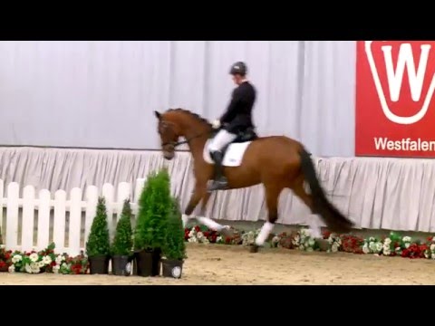 30 Victoria Secret  Stute v. Vitalis - Floresco