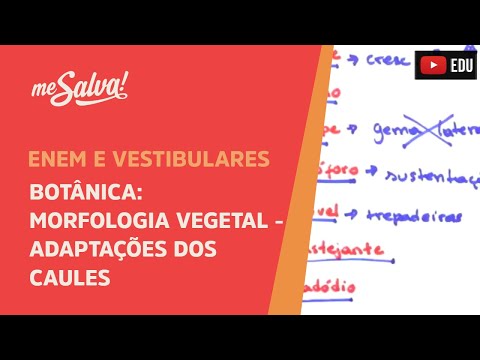 Me Salva! BOT40 - Botânica - Morfologia vegetal: adaptações dos caules