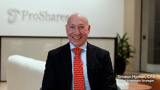 Lowering Your Concentration Risk Using Ex-Sector ETFs