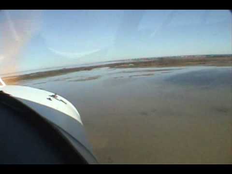 Treetop flyer.  Steven Stills.