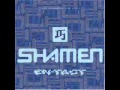 The Shamen Move Any Mountain