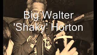 Big Walter Horton-Walter's Swing