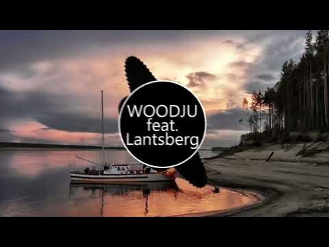 WOODJU feat  Lantsberg Sod s Law