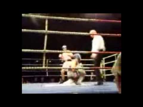 Knockdown Francesco, Gent Boksgala