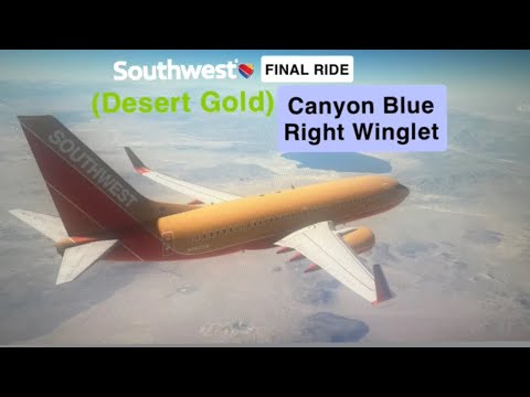Southwest Flight 596
