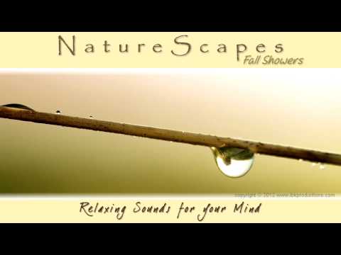 🎧 RELAXING RAIN SHOWER SOUNDS for Sleep, Meditation, White Noise & Tinnitus... Nature Sounds