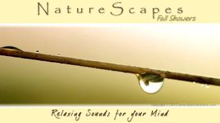 🎧 RELAXING RAIN SHOWER SOUNDS for Sleep, Meditation, White Noise & Tinnitus... Nature Sounds
