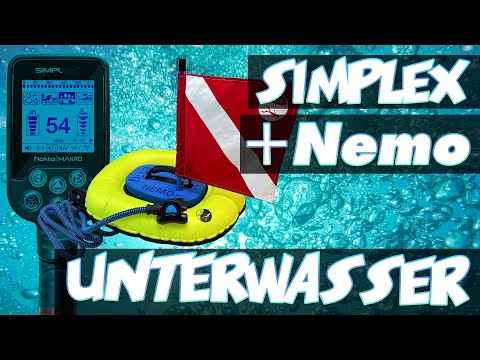 Blu3 Nemo Unterwasser Sondeln mit dem Nokta Makro Simplex [Schatzsuche nach Schmuck und Münzen]