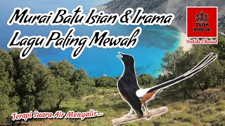 Download lagu Murai batu isian dan irama lagu paling mewah~guru vokal terbaik paling dicari!!! mp3 Download lagu Murai batu isian dan irama lagu paling mewah~guru vokal terbaik paling dicari!!! mp3