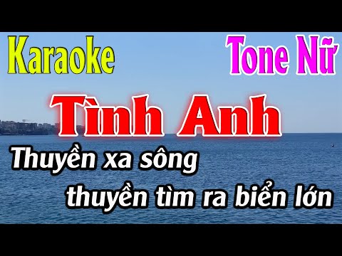 Tình Anh Karaoke Tone Nữ Karaoke Lâm Organ - Beat Mới