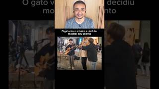 O gato viu o músico e decidiu mostrar seu talento #shorts