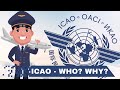 ICAO: International Civil Aviation Organization - Explained in 6 Minutes! 🤩