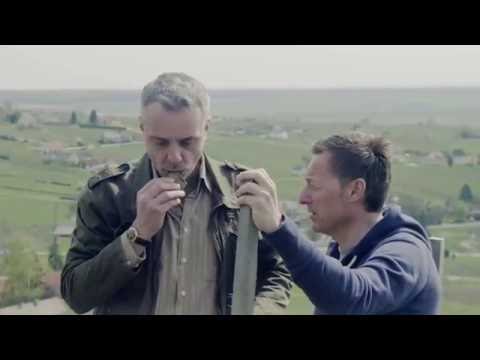 WARUM WEIN  Folge 02  "Terroir"  Thomas Maurer