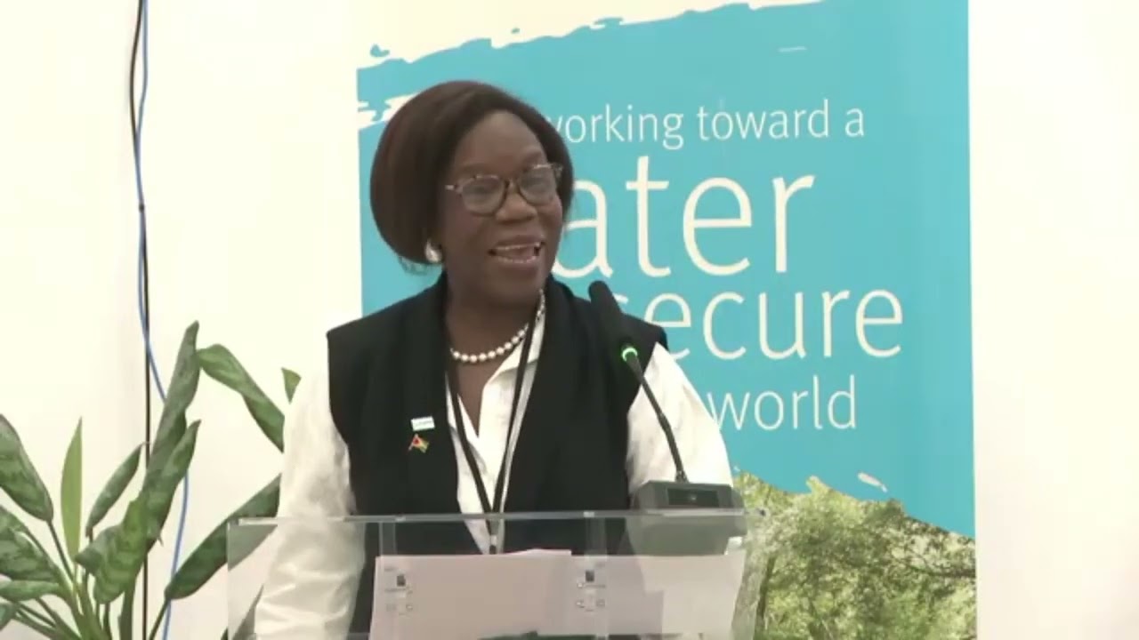 Prof Paulette Bynoe