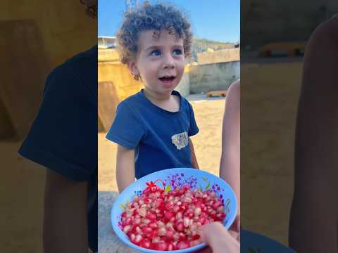 خلودة بقول عن الرمان مانجا 🥭 #خلودة #funny #comedy