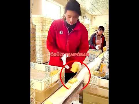 GYÁRBAN Nincs Pihenő! 😓