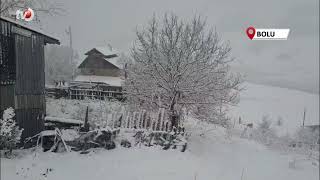 Abant, Beyaz Örtüyle Kaplandı