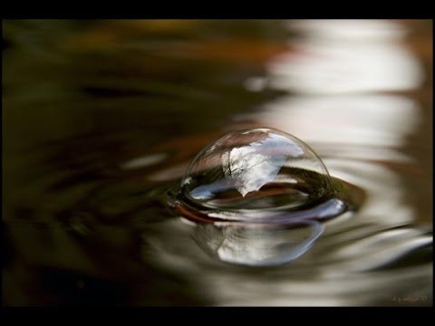 Werewolf Lycs- Of cotard like droplet