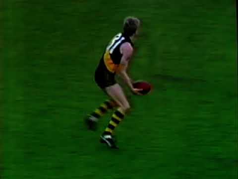 VFL - Richmond v Melbourne 1986 Round 12 -  MCG - Highlights