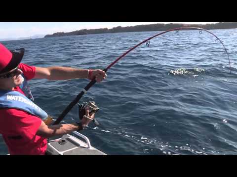 Fishing and Adventure Season 2 Episode 8 - Tauranga
