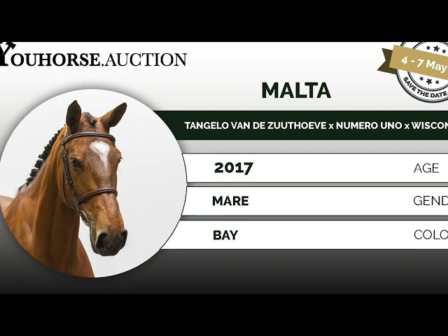 Malta showvideo outdoor