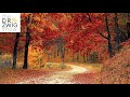 #6: Psychiatric Brain Science Has It Wrong About You I The Dr. Zwig Show