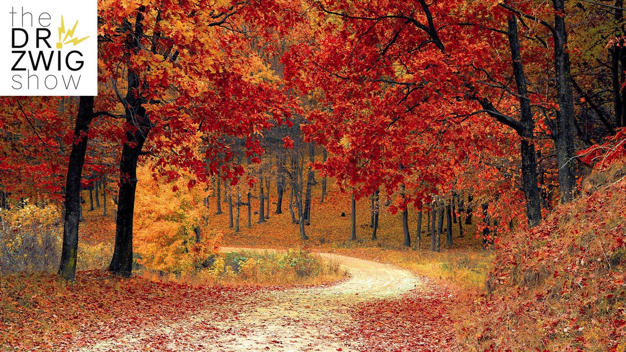 #6: Brain Science Has It Wrong About You! I The Dr. Zwig Show