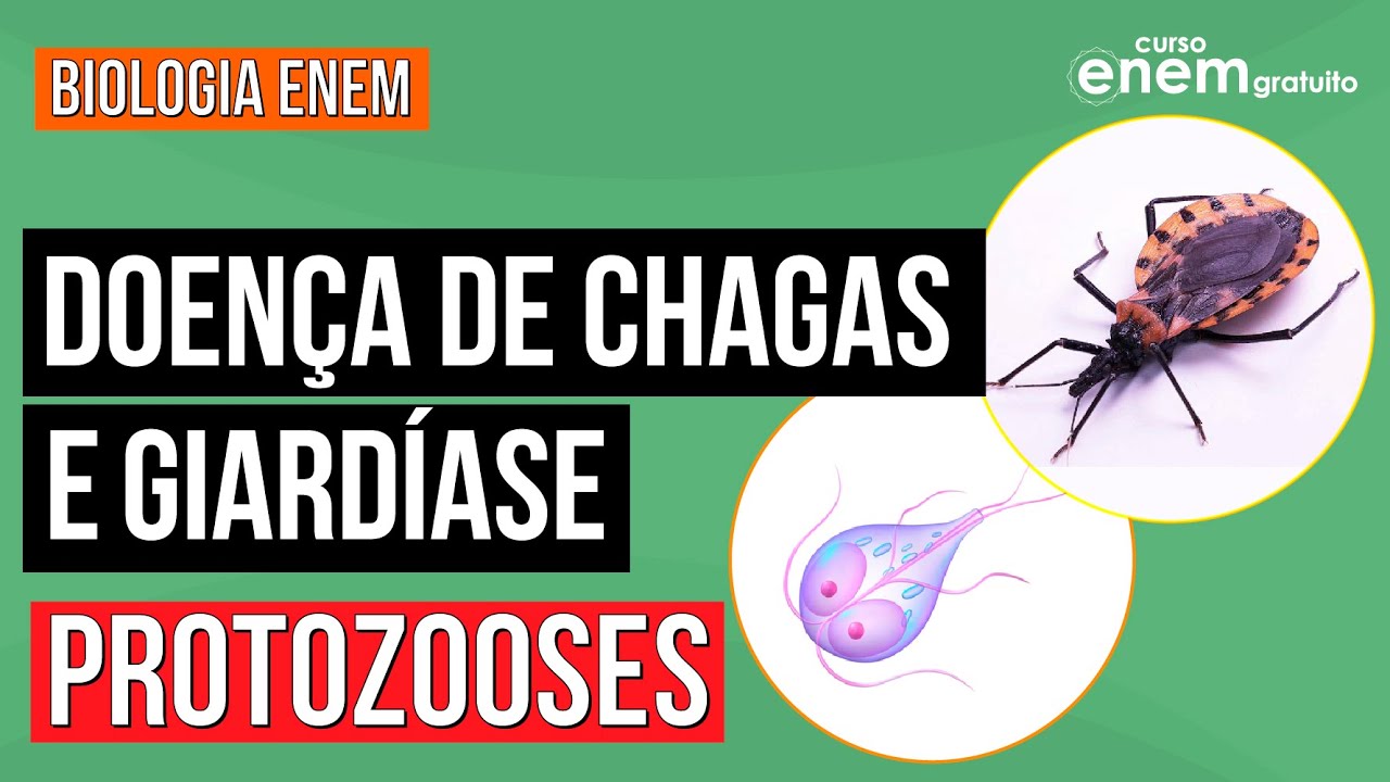 Protozooses: Giardíase e Doença de Chagas | Resumo de Biologia para o Enem | Cláudia de Souza Aguiar
