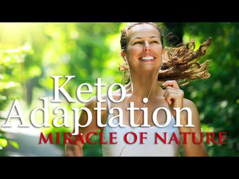 What is a Ketone Explained By Dr Berg