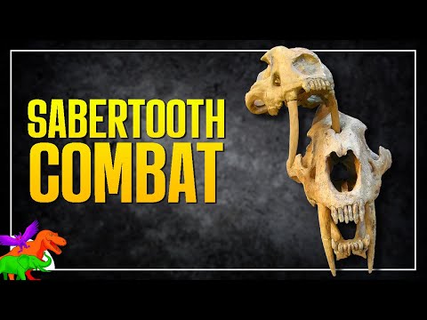 Saber-Toothed Cats Killed Each Other?!