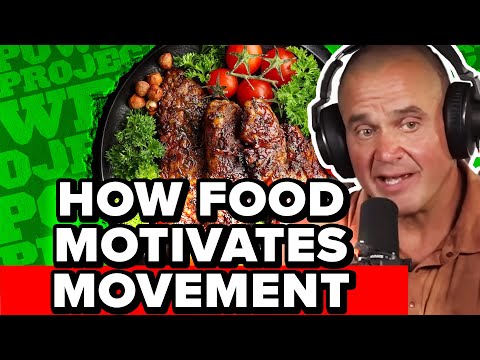 How Food Effects Motivation to Exercise