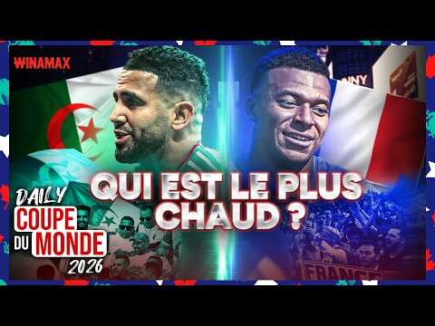 Les lions veulent MANGER le coq ! 😱 - Daily #06