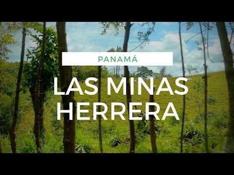 LAS MINAS DE HERRERA   así es Panamá