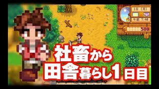 【まったり農場ゲーム実況#１】社畜から農家へ転職【StardewValley スターデューバレー】