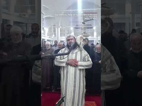 Cat jumps on sheikh leading prayer. See his reaction