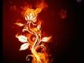 !Steve Murano - Passion ( zoom club mix ). 