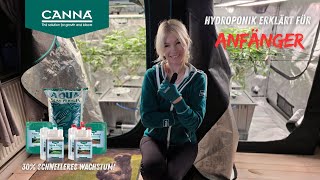 Hydroponik für Anfänger - So wachsen Pflanzen 30% schneller