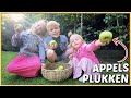 APPELMOES MET EiGEN APPELS UiT DE TUiN MAKEN ?? | Bellinga Vlog #2211