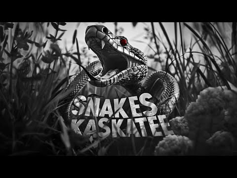 Video thumbnail PtqAA-cH4Zc