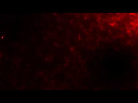 Fire Effect Overlay - Copyright Free Videos